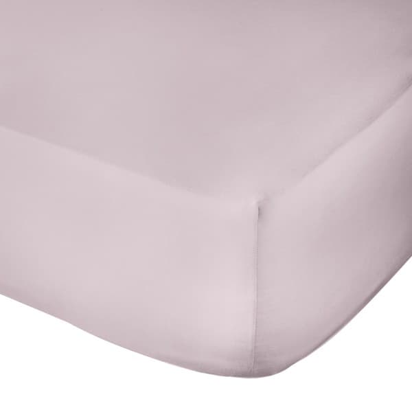 Rose 300tc Egyptian Cotton Fitted Sheet
