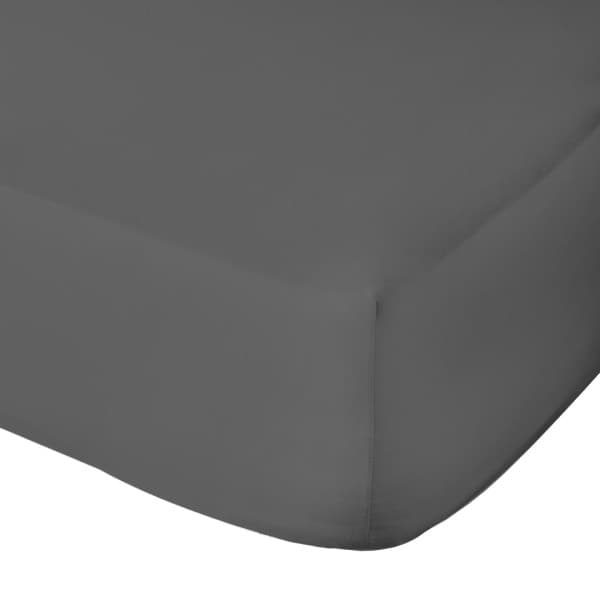 Charcoal Cotton 600tc Fitted Sheet