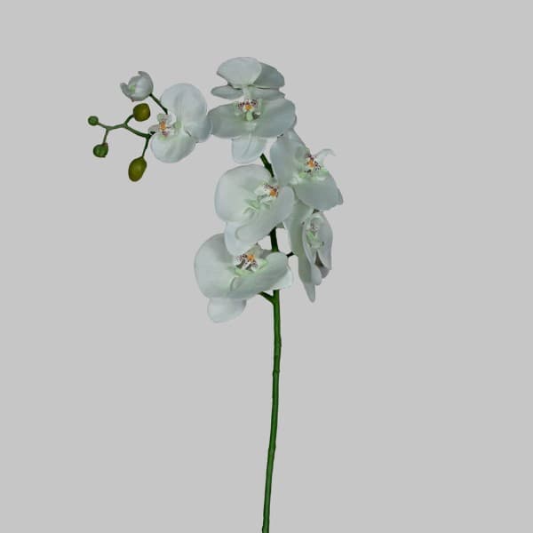 Faux Plant Phalaenopsis White