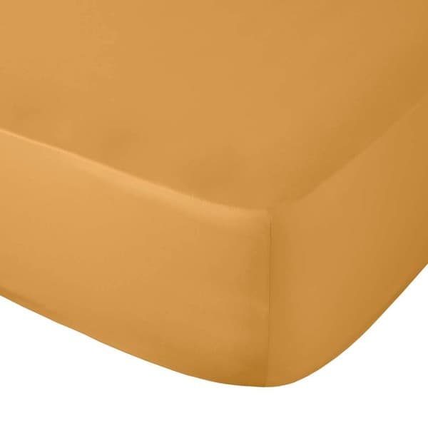 Honey 300tc Egyptian Cotton Fitted Sheet