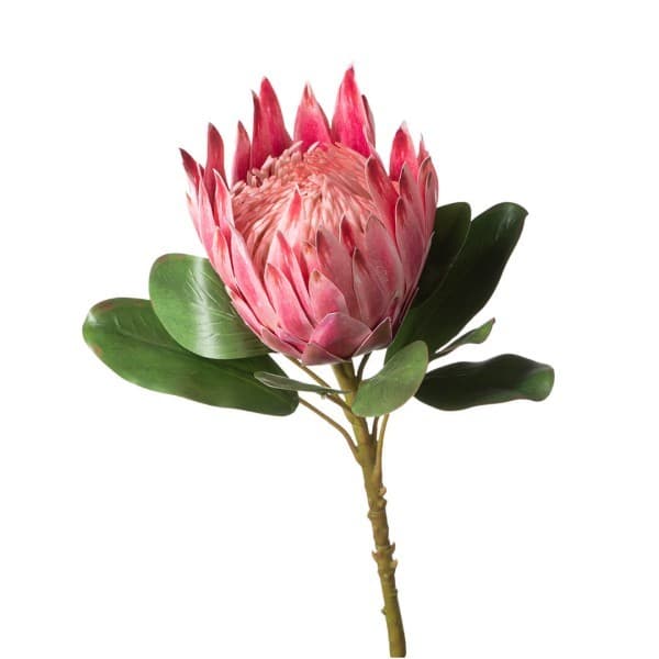 Pink Kingpro Faux Plant