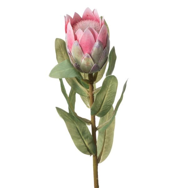 Faux Plant Protea1 Pink