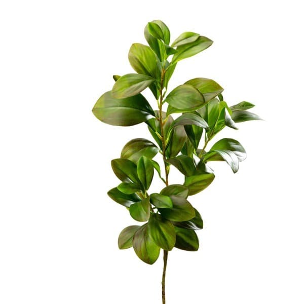 Green Ruscus Faux Plant