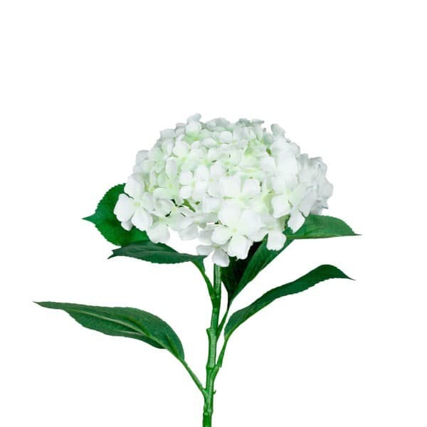 Faux Plant Hydra Stem Cream