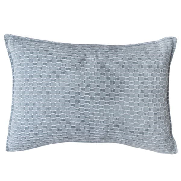 FELIX DUCK EGG SCATTER CUSHION