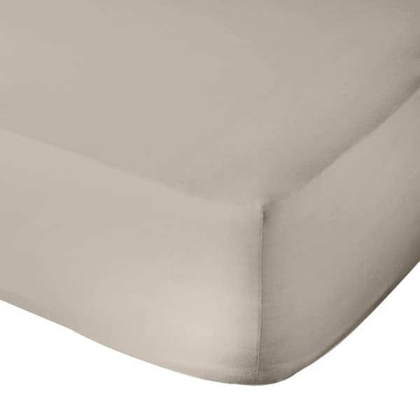 LATTE 600TC EGYPTIAN COTTON FITTED SHEET