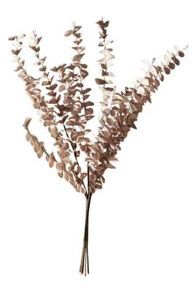 BROWN EUCALYPTUS FAUX PLANT