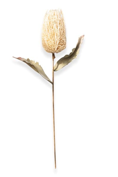CREAM BANKIA FAUX PLANT